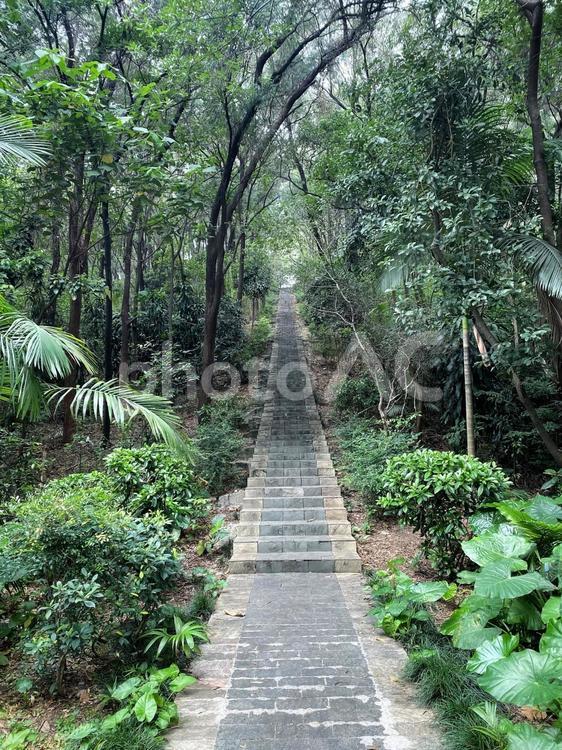 公園の小山の階段　中国 階段,小山,風景の写真素材