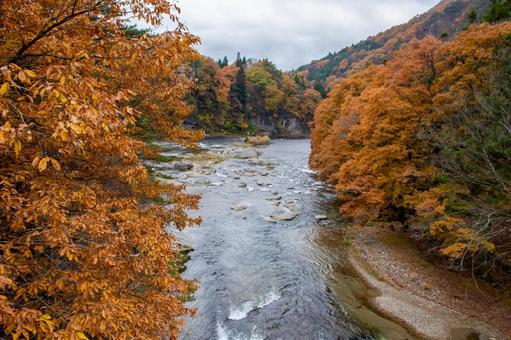 秋の片品川 秋の片品川 片品川,紅葉,秋素材の写真素材