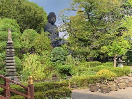 東京大仏 東京大仏の写真
