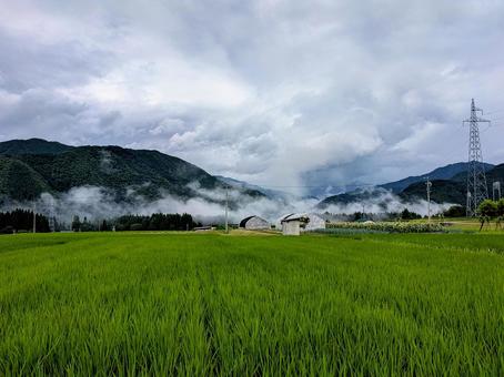 雲の多い田園風景 雲の多い田園風景 田んぼ,田園風景,雲の写真素材