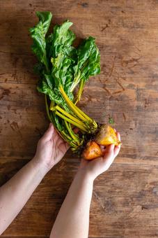オレンジ色の野菜を持つ手 オレンジ色の野菜を持つ手の写真