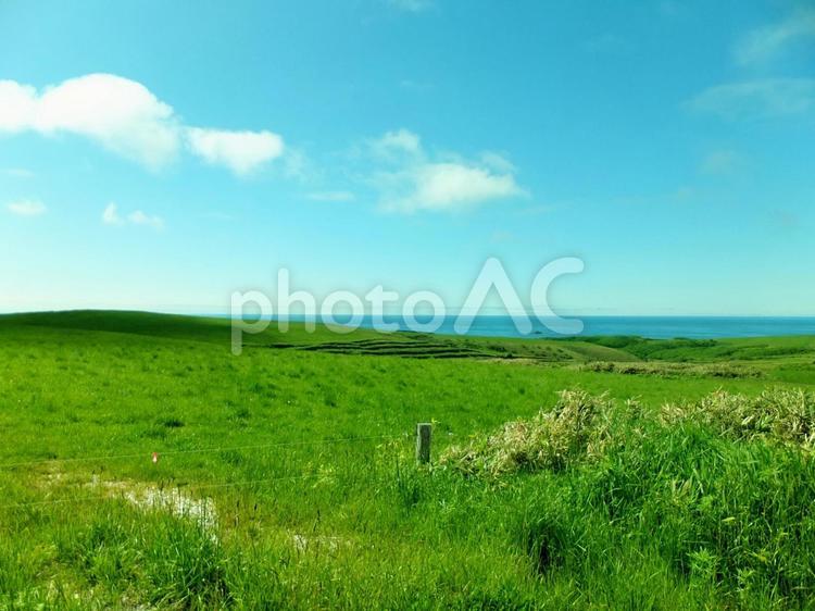 北海道・宗谷丘陵 宗谷岬,宗谷丘陵,北海道の写真素材