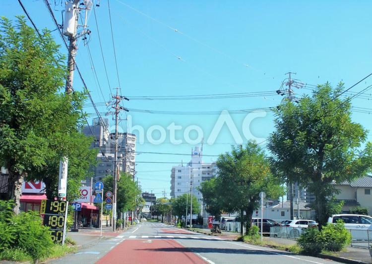 駅の北口へ続く道は街路樹の道 街路樹,夏,グリーンの写真素材