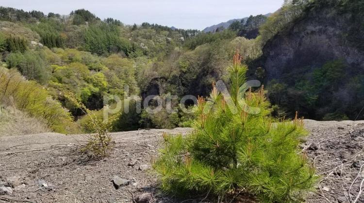 群馬　草津　山間部の風景 山,草津,風景の写真素材