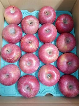 りんご　特Ａ１６玉 りんご,贈答品,お歳暮の写真素材