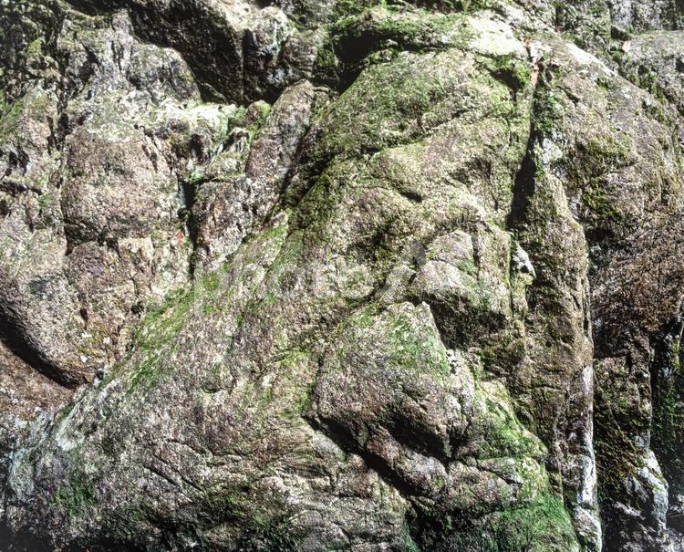 石の模様37 石,岩,自然石の写真素材