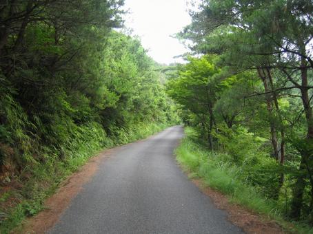 Photo, little valley city, kotaniyama, nagamasa asai, 