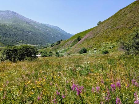 シュハラ氷河トレッキングコース トレッキング,ウシュグリ村,スヴァネティ地方の写真素材