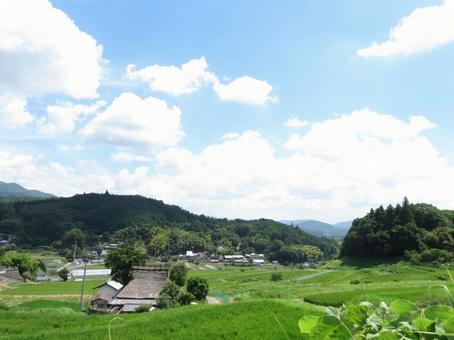 棚田の風景の写真