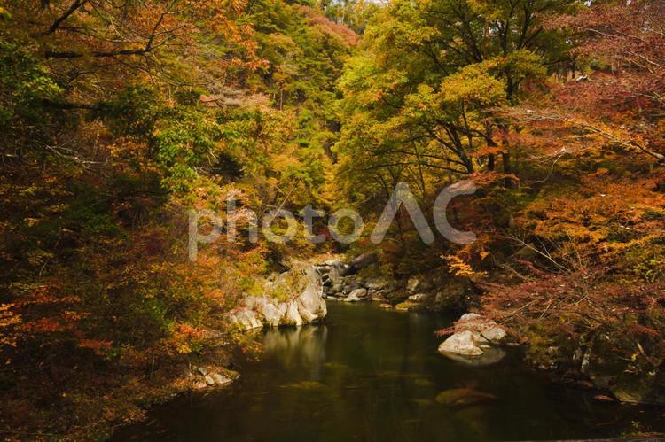 山梨県甲府市　昇仙峡の紅葉 昇仙峡,山梨,紅葉の写真素材