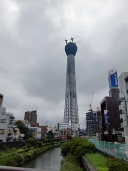 建築途中　スカイツリー タワークレーン,高層,建築の写真素材
