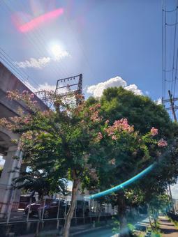 朝の空 朝の空の写真