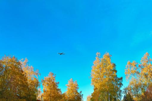 美しい紅葉と青空と飛行機 紅葉,飛行機,秋の写真素材