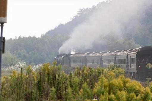 走り去るデゴイチ d51,デゴイチ,蒸気機関車の写真素材