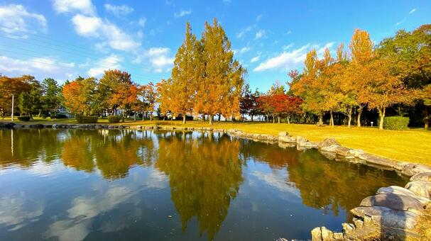 紅葉の北部公園（金沢） 紅葉,秋,公園の写真素材