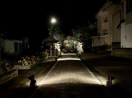 夜の二面温泉薬師堂　福井県あわら市 二面温泉薬師堂,自然,町の写真素材