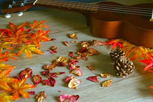 秋のイメージ(ウクレレ) 秋のイメージ(ウクレレ) ウクレレ,紅葉,秋の写真素材