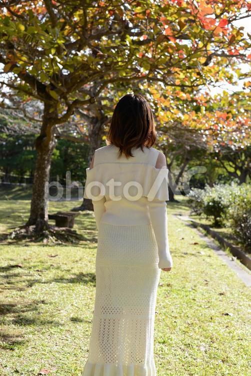 自然の中でくつろぐ女性の後姿 女性,自然,健康の写真素材