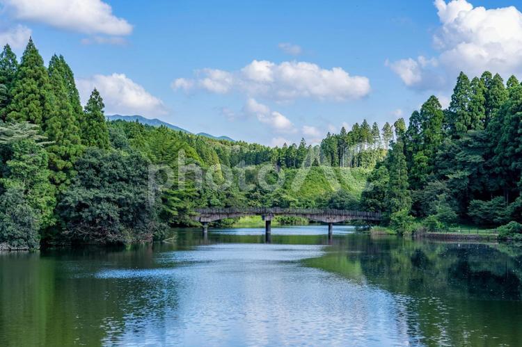 中池農村公園の中池 中池農村公園,池,青空の写真素材