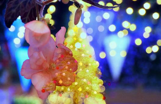 イメージ素材/クリスマスツリー・イルミ イメージ素材/クリスマスツリー・イルミの写真