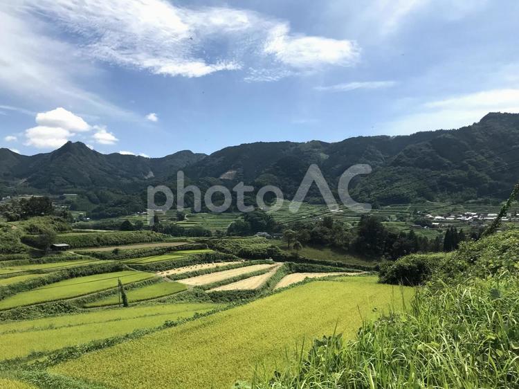 日本の原風景 田園,棚田,原風景の写真素材