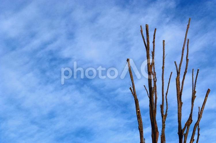 寒々しい風景 青空,空,青の写真素材