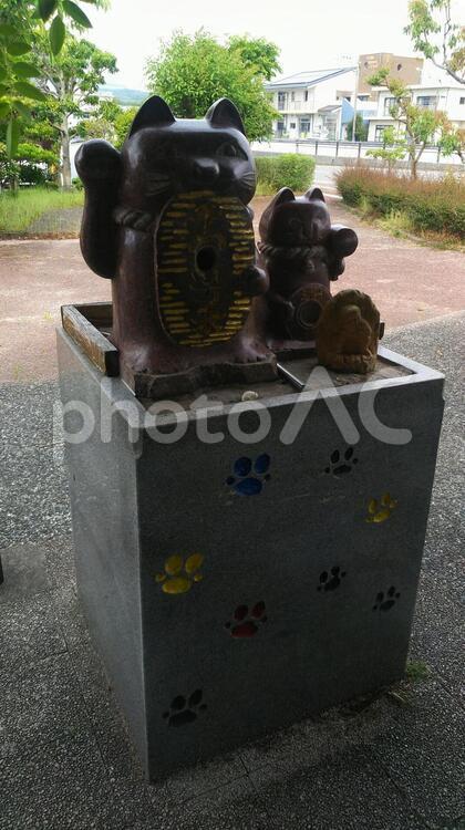 国東市国東町　マネーき猫公園 マネーき猫公園,公園,植物の写真素材