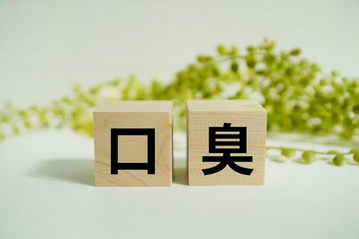 木製ブロックに『口臭』の文字 木製ブロックに『口臭』の文字 口臭,エチケット,臭いの写真素材