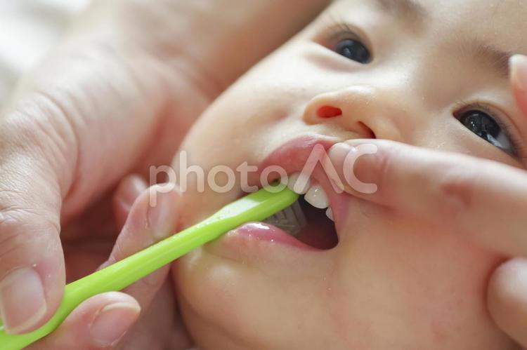 歯ブラシで赤ちゃんの口腔ケアする様子 歯磨き,歯みがき,口腔ケアの写真素材