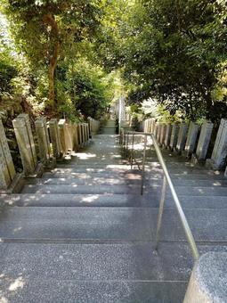 犬山市の寂光院の階段の写真