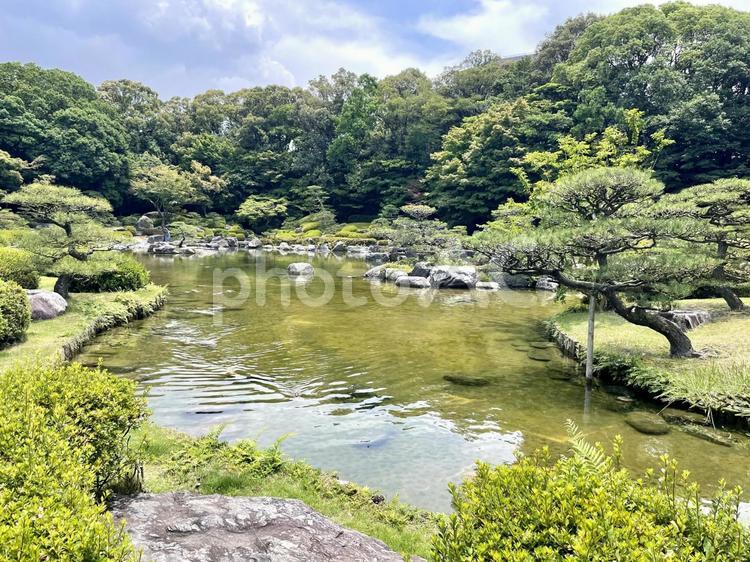 福岡市　大濠公園の日本庭園 大濠公園,日本庭園,池の写真素材
