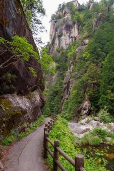 250527昇仙峡 山梨県,甲府市,昇仙峡の写真素材