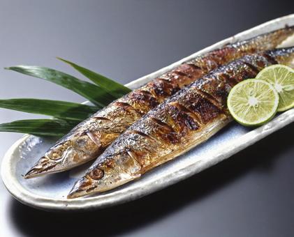 秋刀魚の塩焼き 秋刀魚の塩焼き 秋刀魚の塩焼き,さんま,秋刀魚の写真素材