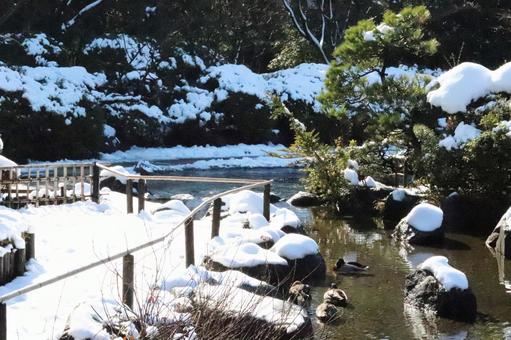 冬の庭園の写真