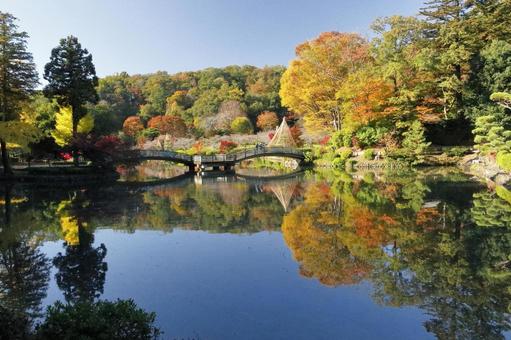 薬師池公園の紅葉 秋,紅葉,１１月の風景の写真素材