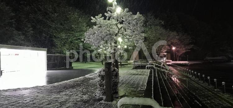 日本のパーキングエリア　雪景色 日本,雪,パーキングの写真素材