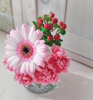 お花 ガーベラ,ピンク,フラワーの写真素材