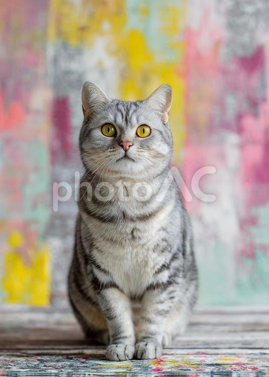 ペイントアートの背景と座る猫 猫,動物,目線の写真素材