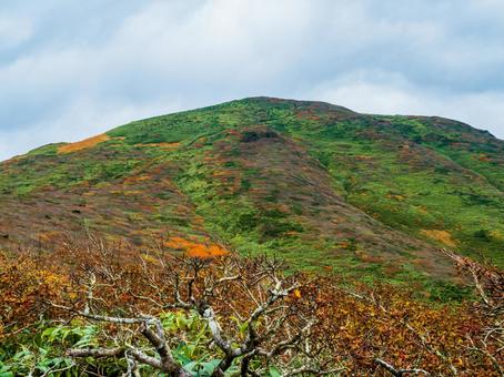 紅葉の栗駒山(須川岳) 紅葉の栗駒山(須川岳) 栗駒山,須川岳,神の絨毯の写真素材