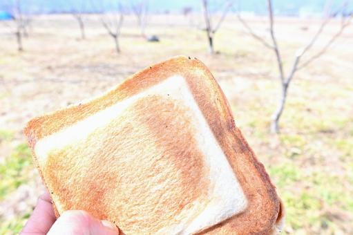 お昼ご飯の写真