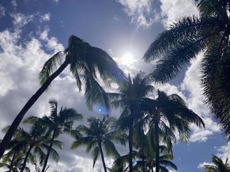 ハワイの空Ｄ ハワイ,青空,雲の写真素材