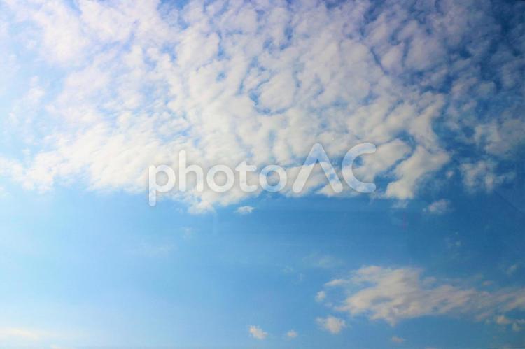 夏の雲　鱗のように分かれ始めて 空,青空,水色の空の写真素材