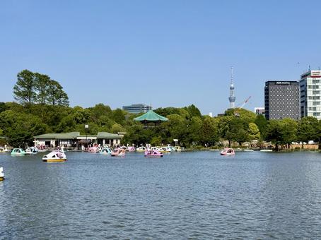 ゴールデンウィークの上野 不忍池 ゴールデンウィークの上野 不忍池 観光,思い出,定番の写真素材