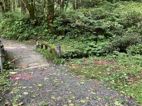 小道のある風景 小道のある風景の写真