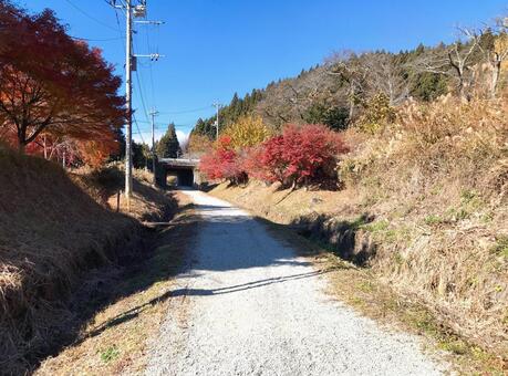 山道 山,トレッキング,山道の写真素材