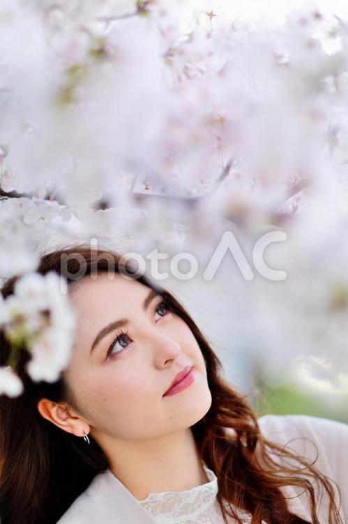 桜と派手目なメークの日本人女性24 女性,日本人,アジア人の写真素材