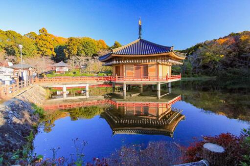 阿倍文殊院 阿倍文殊院,ならたび,浮御堂の写真素材