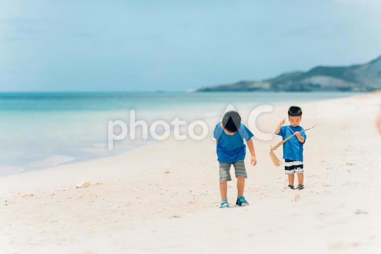 たからもの探し 兄弟,子供,子どもの写真素材