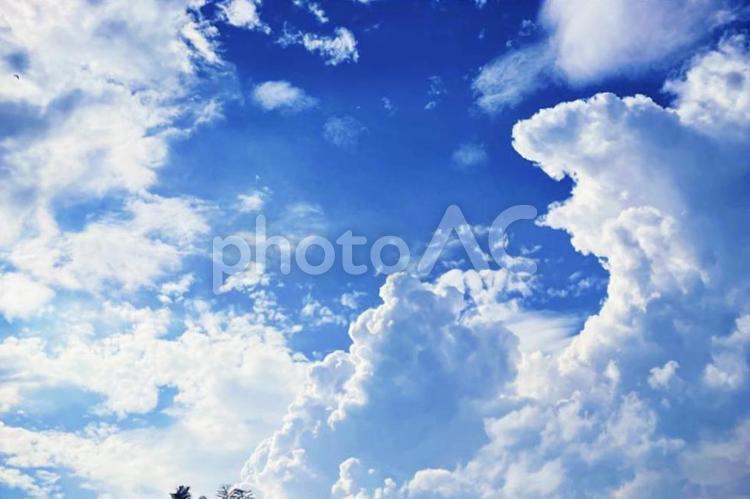 青空と雲の爽やかな空の風景 青空,空,夏空の写真素材