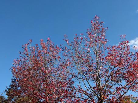 blue sky, JPG blue sky, JPG
